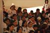 Thumbnail of Photo
